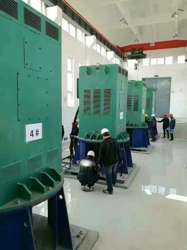 藤县某污水处理厂使用我厂的立式高压电机安装现场现货销售